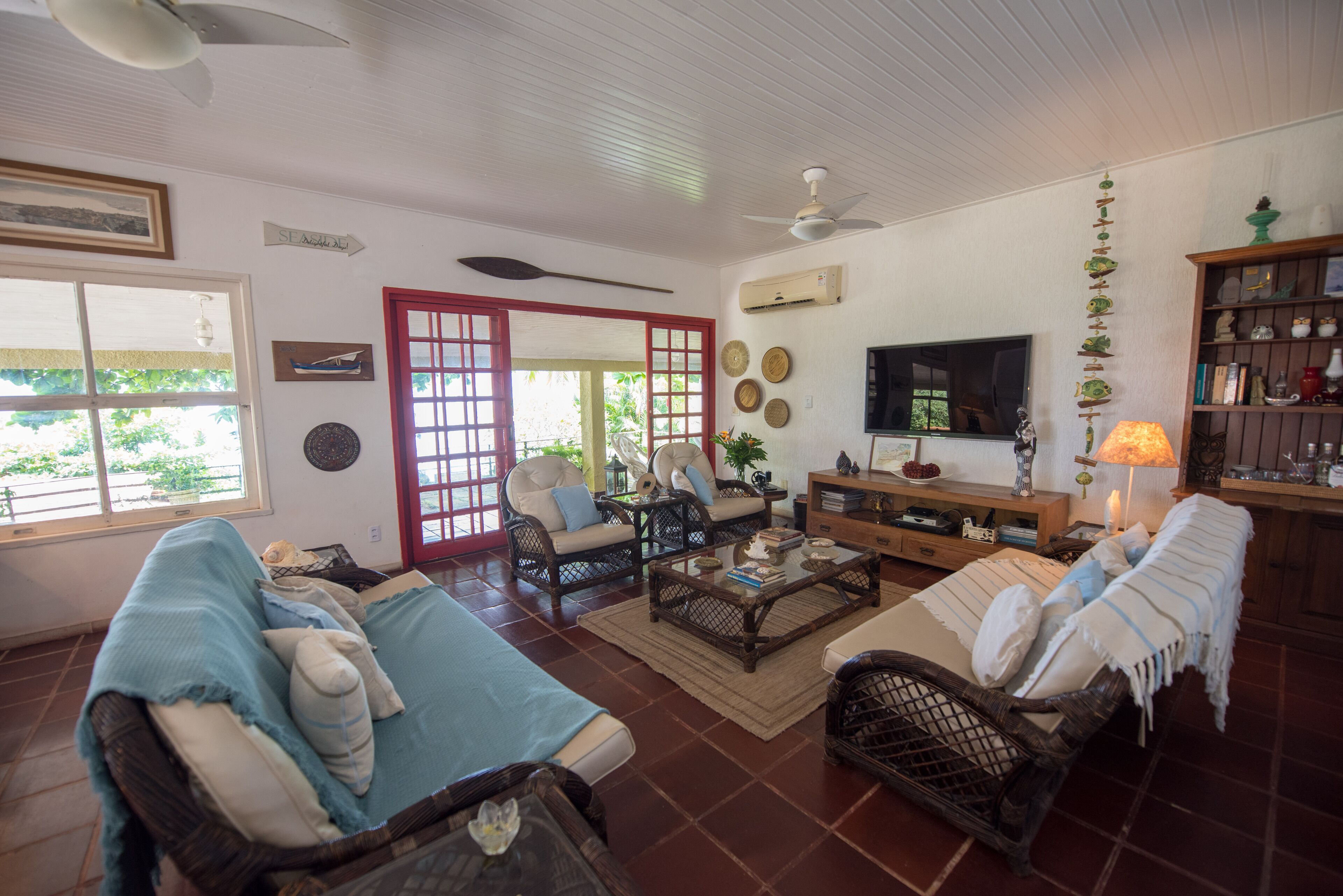 Televisor, reproductor de DVD i llibres 