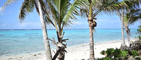 Beach nearby, beach towels