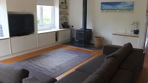 TV, fireplace, DVD player, books