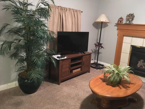 A living room with a television on a wooden stand, a potted plant, a lamp, and a fireplace.