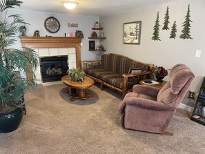 Smart TV, fireplace, DVD player, video library