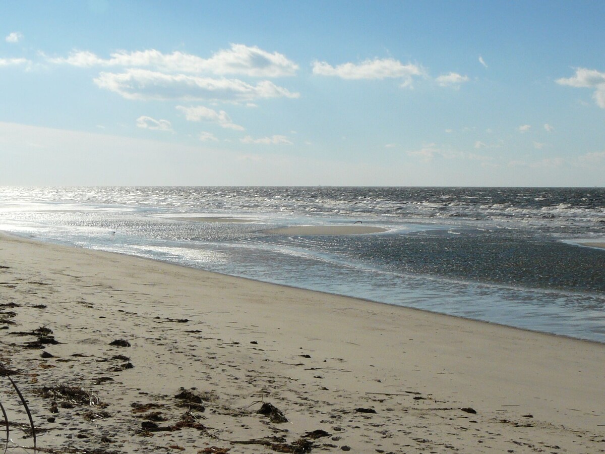 CAPE MAY BEACH,PET FRIENDLY, lovely home 1 block to dog friendly beach, preserve