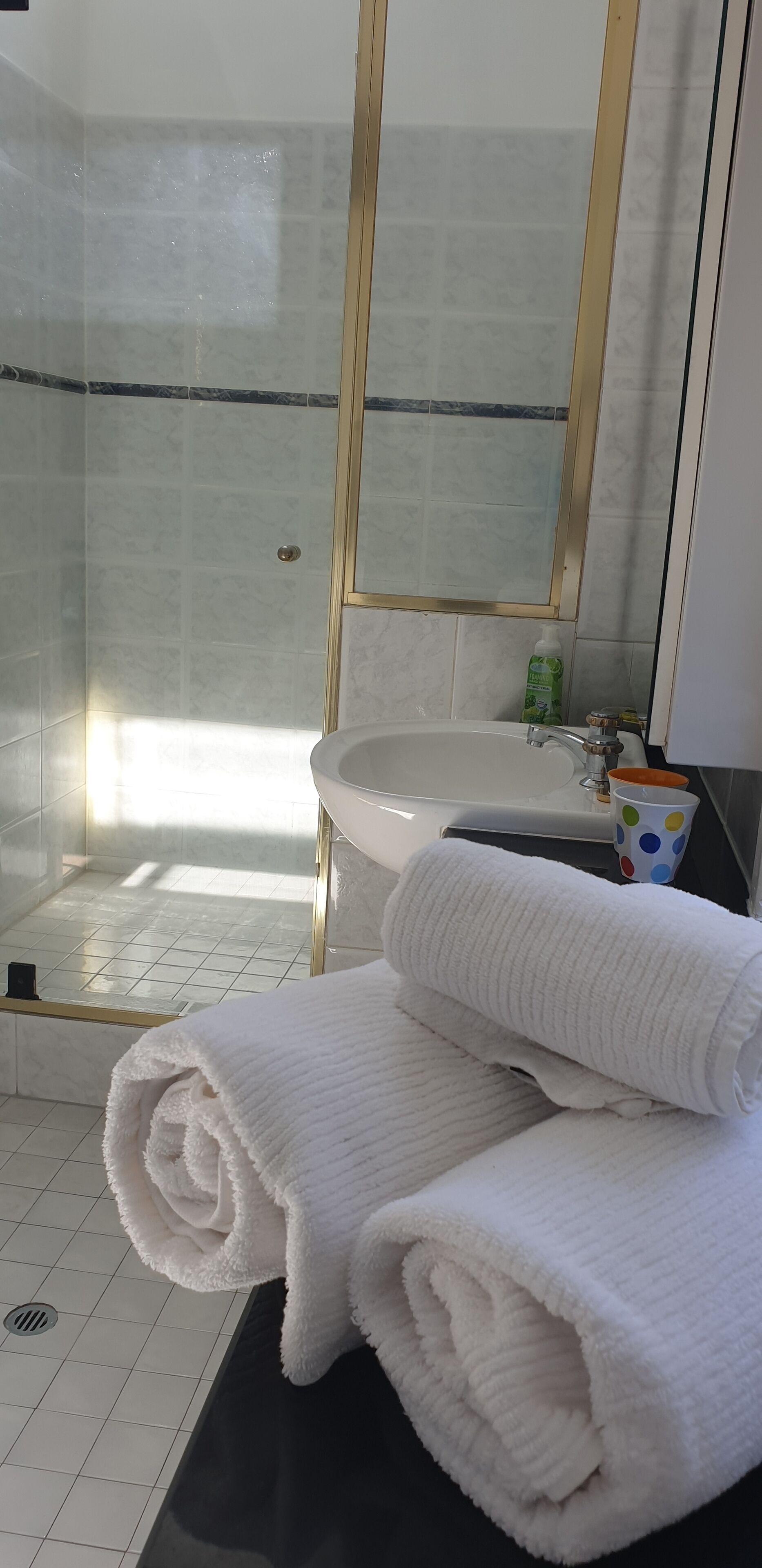 Self Contained Unit Within Elegant Randwick Home — image 4