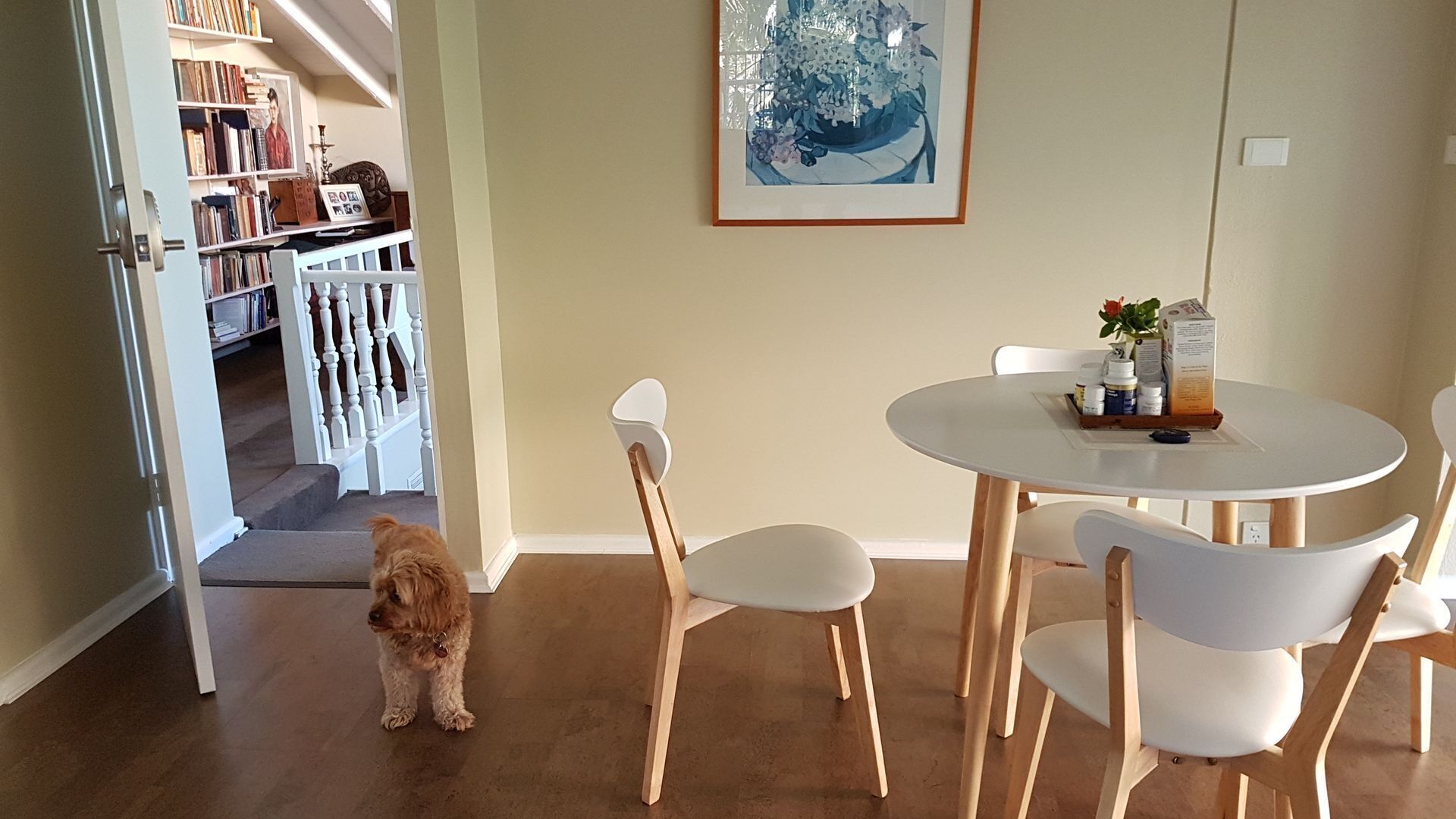 Self Contained Unit Within Elegant Randwick Home — image 12