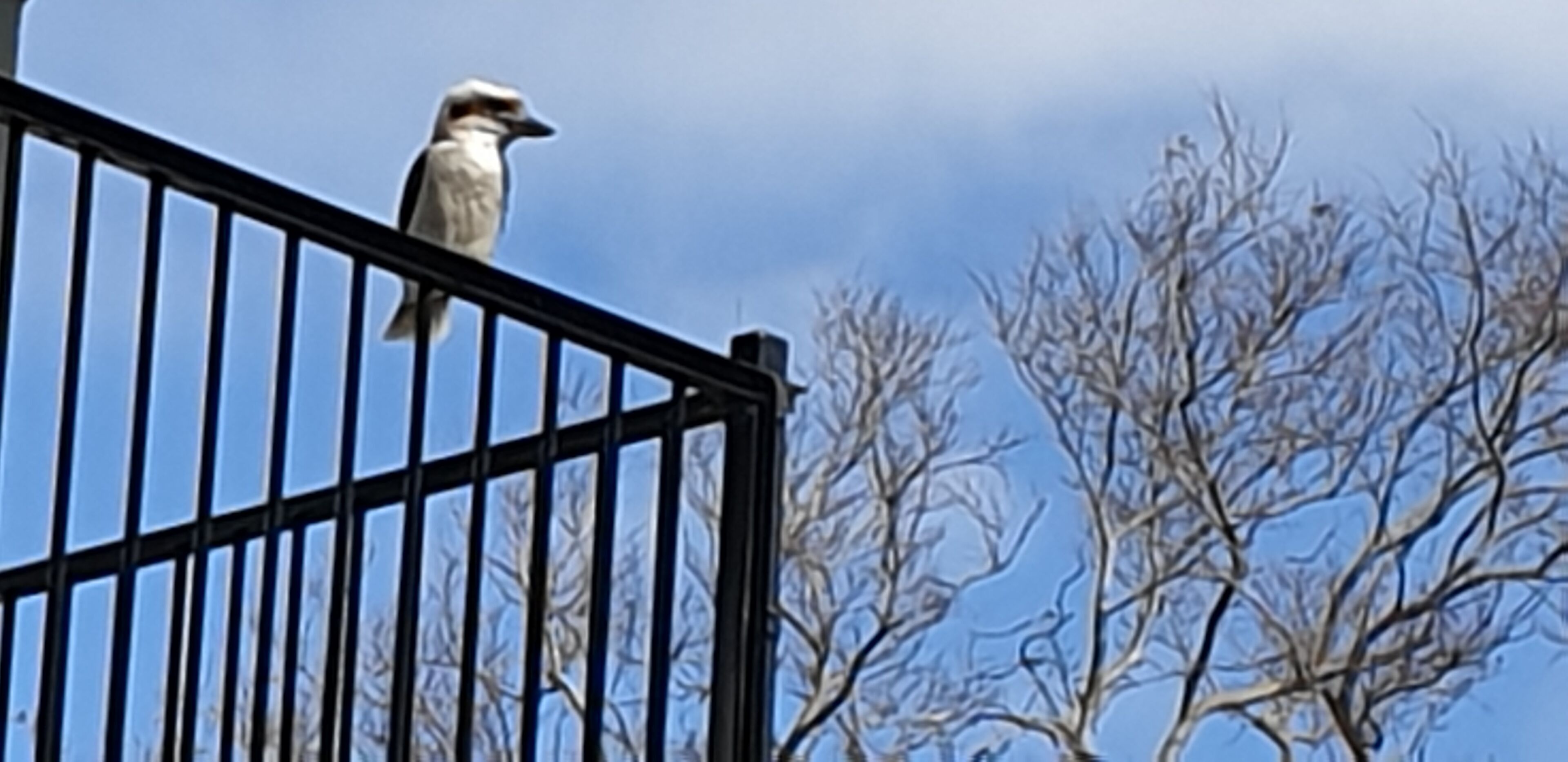 Self Contained Unit Within Elegant Randwick Home — image 5