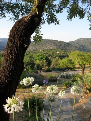 Property grounds - Luxury secluded Villa with Infinity Pool &Panoramic view 20 minutes from beaches (Campanet)