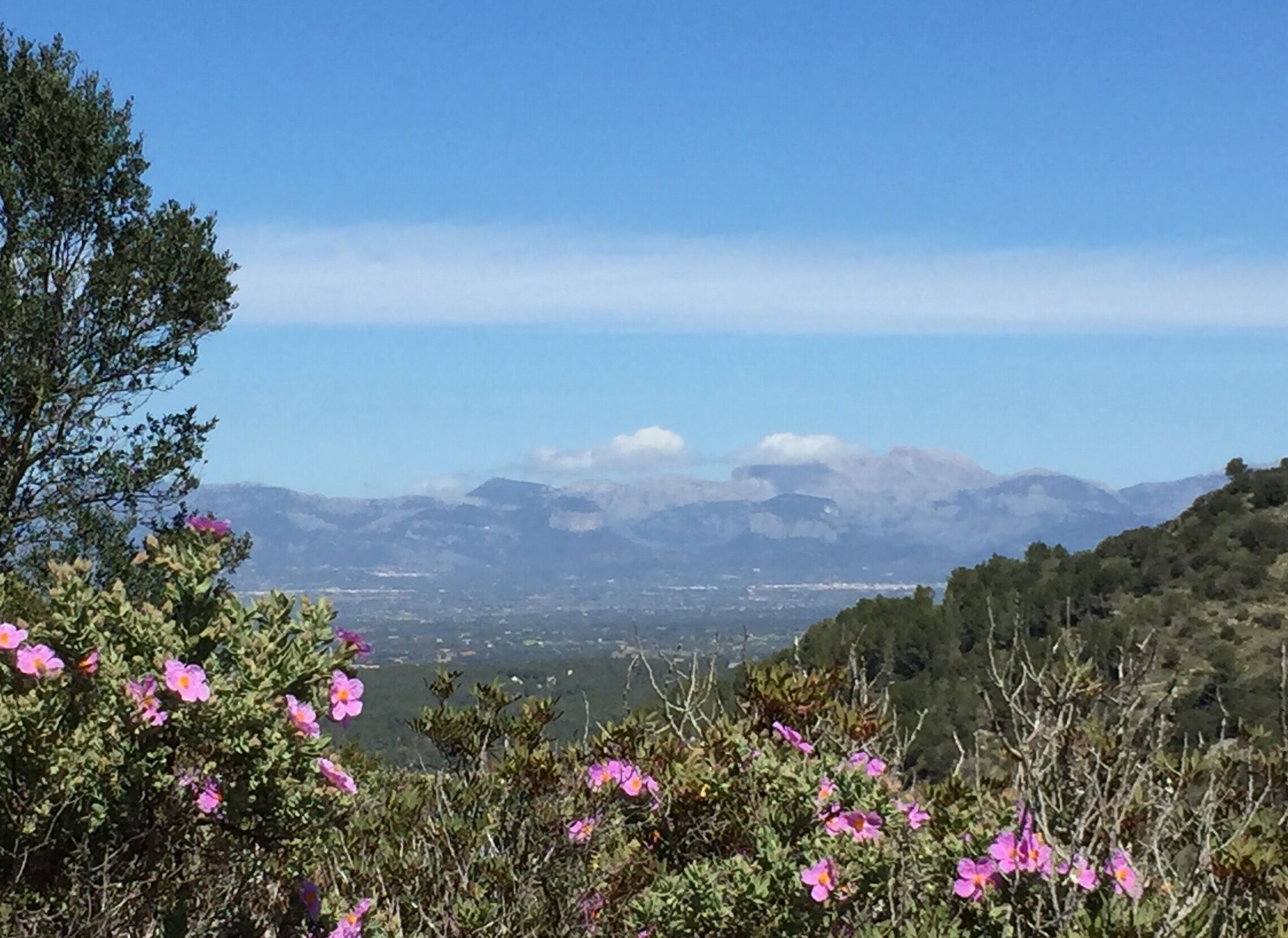 Un paysage montagneux, avec un ciel dégagé et des montagnes à l’horizon.