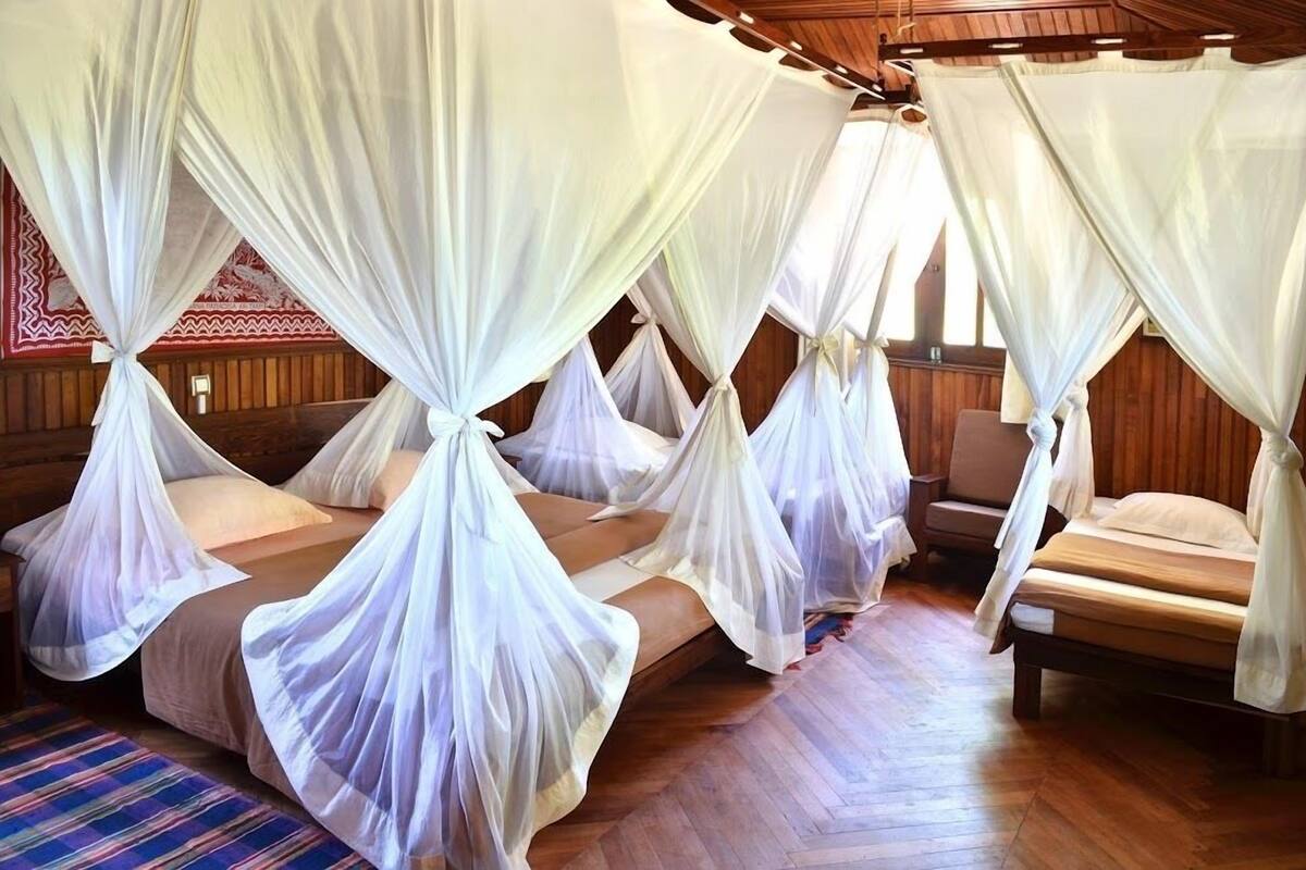 Una habitación con cuatro camas, cada una decorada con dosel blanco.