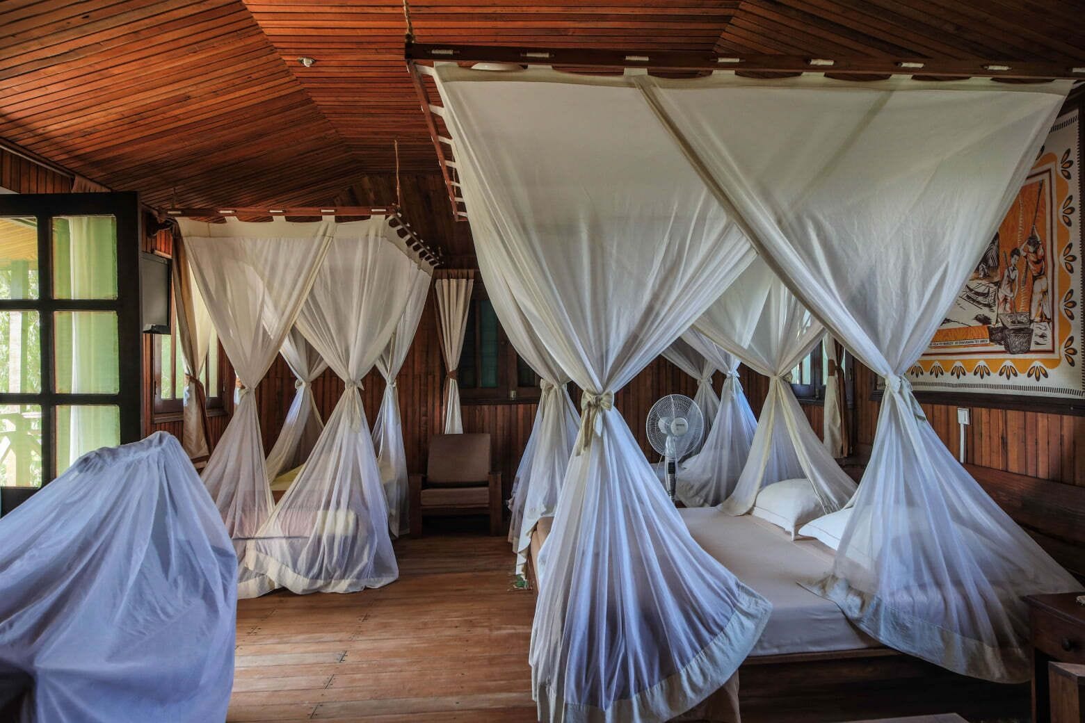 Bungalow familiar, varias camas, para no fumadores | Vista desde la habitación