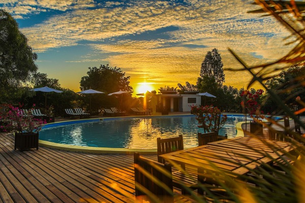 Outdoor pool, pool umbrellas, sun loungers