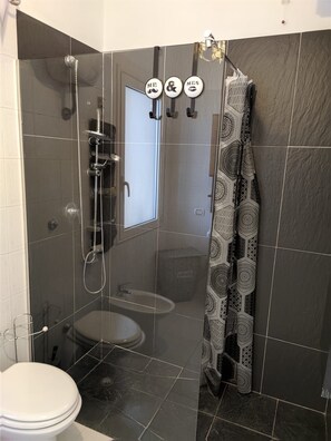 Shower, hair dryer, bidet, towels