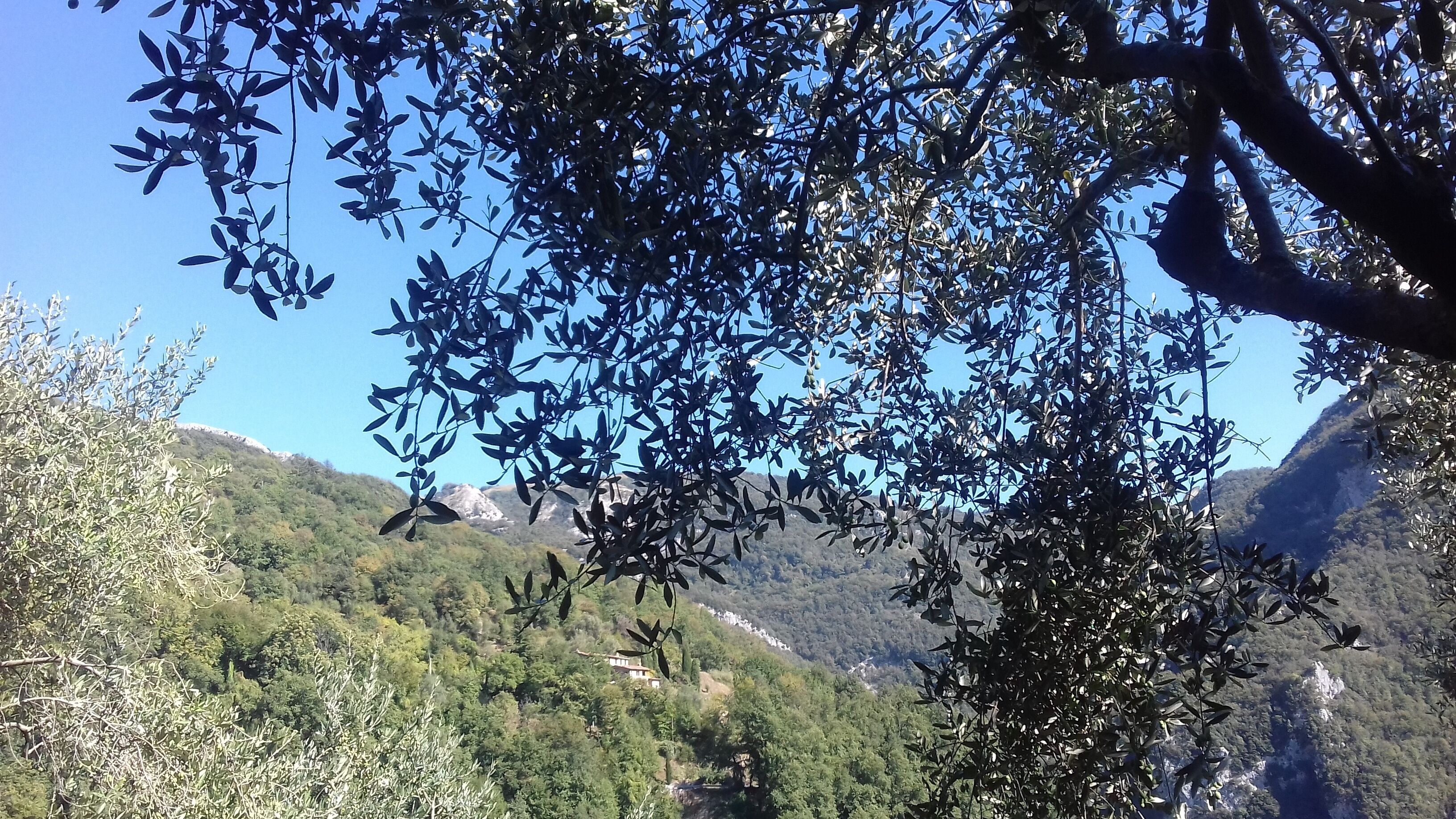 Een bergachtig landschap met weelderige begroeiing en een heldere lucht.