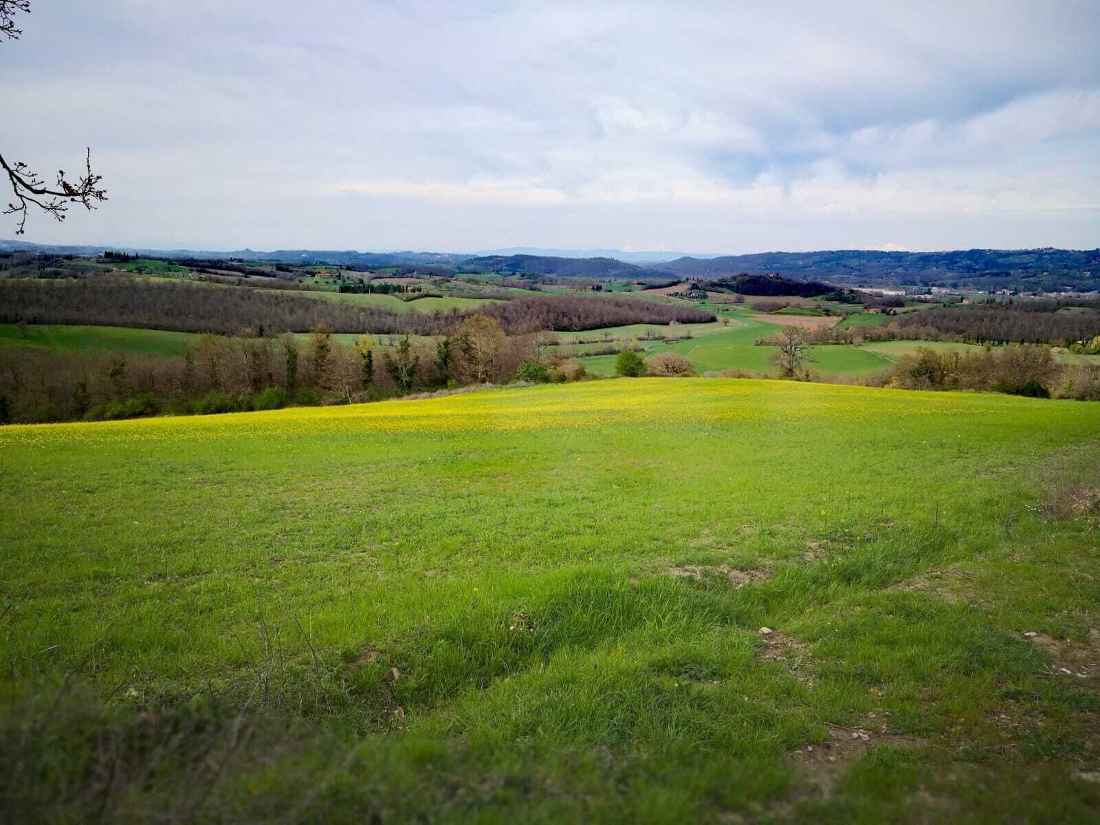 A panoramic view of a rural landscape with rolling hills, fields, and a distant village.