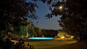 Ein Schwimmbadbereich im Freien bei Nacht, mit Bäumen und Liegestühlen.