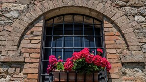 Ein Fenster mit Metallgitter, umgeben von Steinmauern.