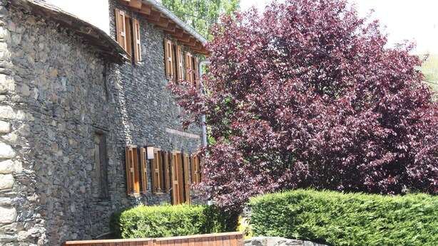 Un edificio de piedra con contraventanas de madera, un árbol de hojas moradas y una valla de madera.