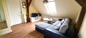 Televisio, kirjoja, stereot