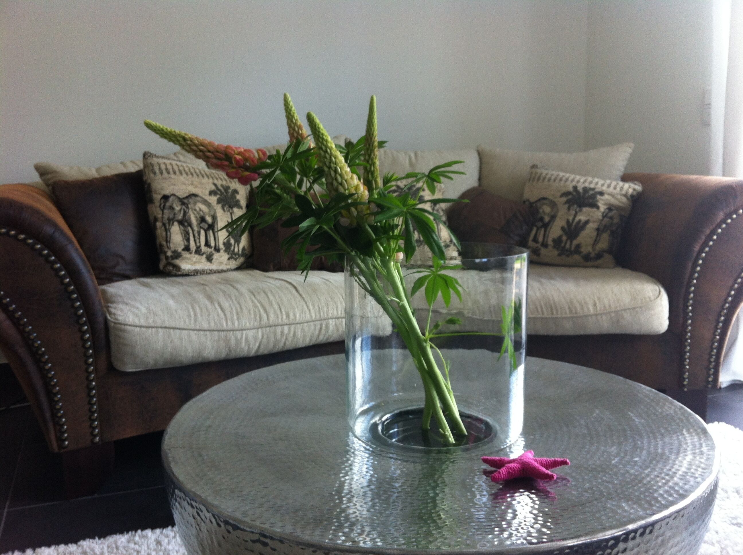 Well-equipped holiday home in the central district of St. Peter bath with garden