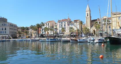 Large family home, magnificent sea view, swimming pool, dogs and cats accepted