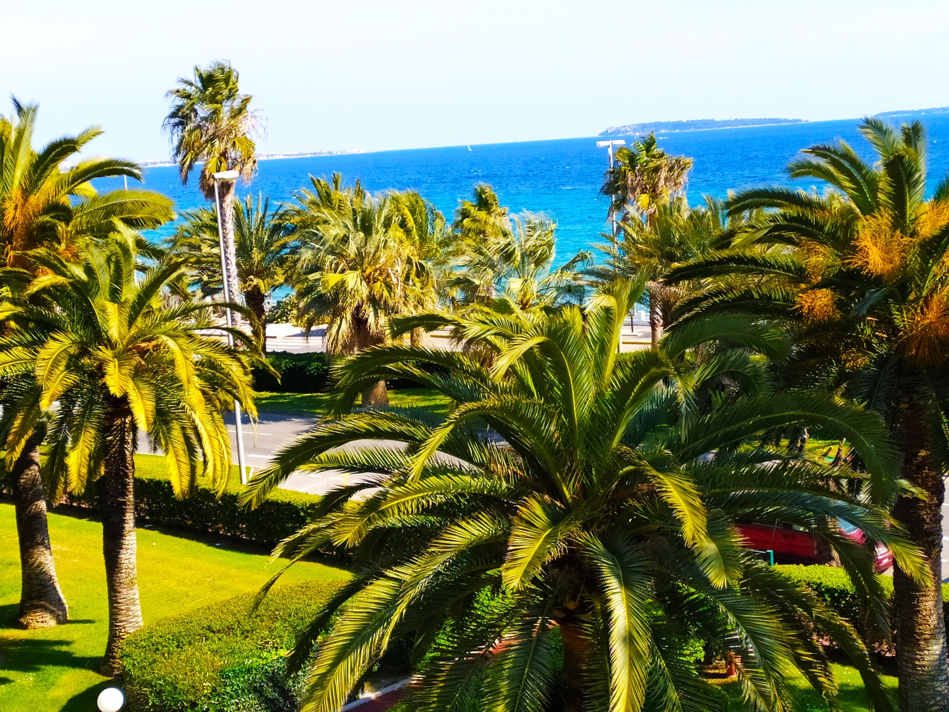 10 Best LongTerm Rentals In Cannes, France Updated 2024 Trip101