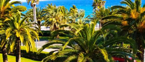 A tropical resort with palm trees, a view of the ocean, and a well-maintained lawn.