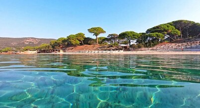 Villa Violetta, 4/5 pers, 2 bedrooms, shared pool in the heart of the Corsican maquis