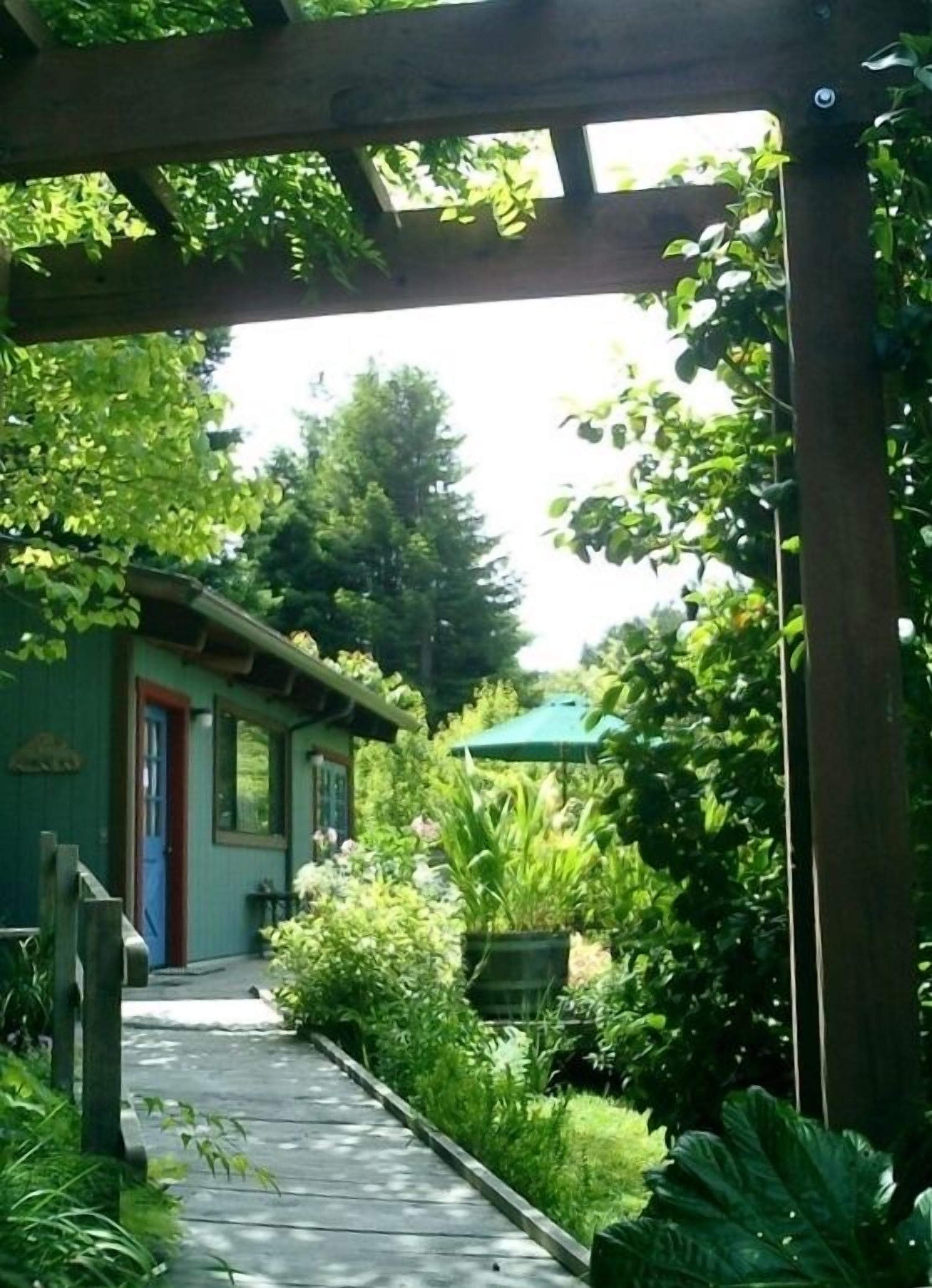 the path leading to the back door.