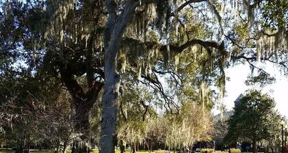 2BR COTTAGE IN SANFORD HISTORIC DISTRICT