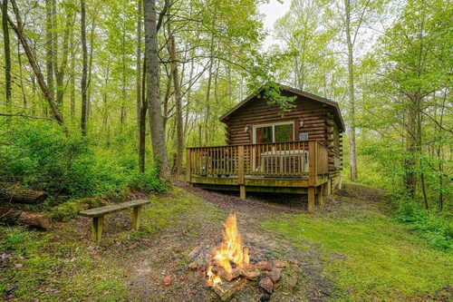 Blue Rose Cabins - Cozy Cabin