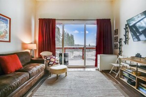 Flat-screen TV, fireplace, DVD player