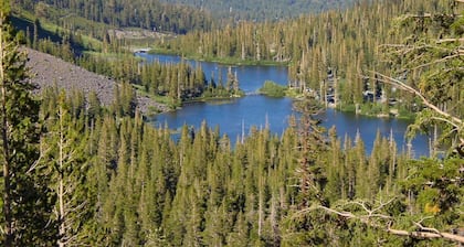 Juniper Springs Lodge Spectacular Views Ski In/Out #530 Sleeps up to 6 A/C