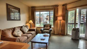 Televisión, chimenea y reproductor de DVD