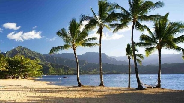 A beach with palm trees, a hammock, and mountains in the background. - Breathtaking Panoramic Bali Hai with Unobstructed Bali Hai Ocean View (Princeville)