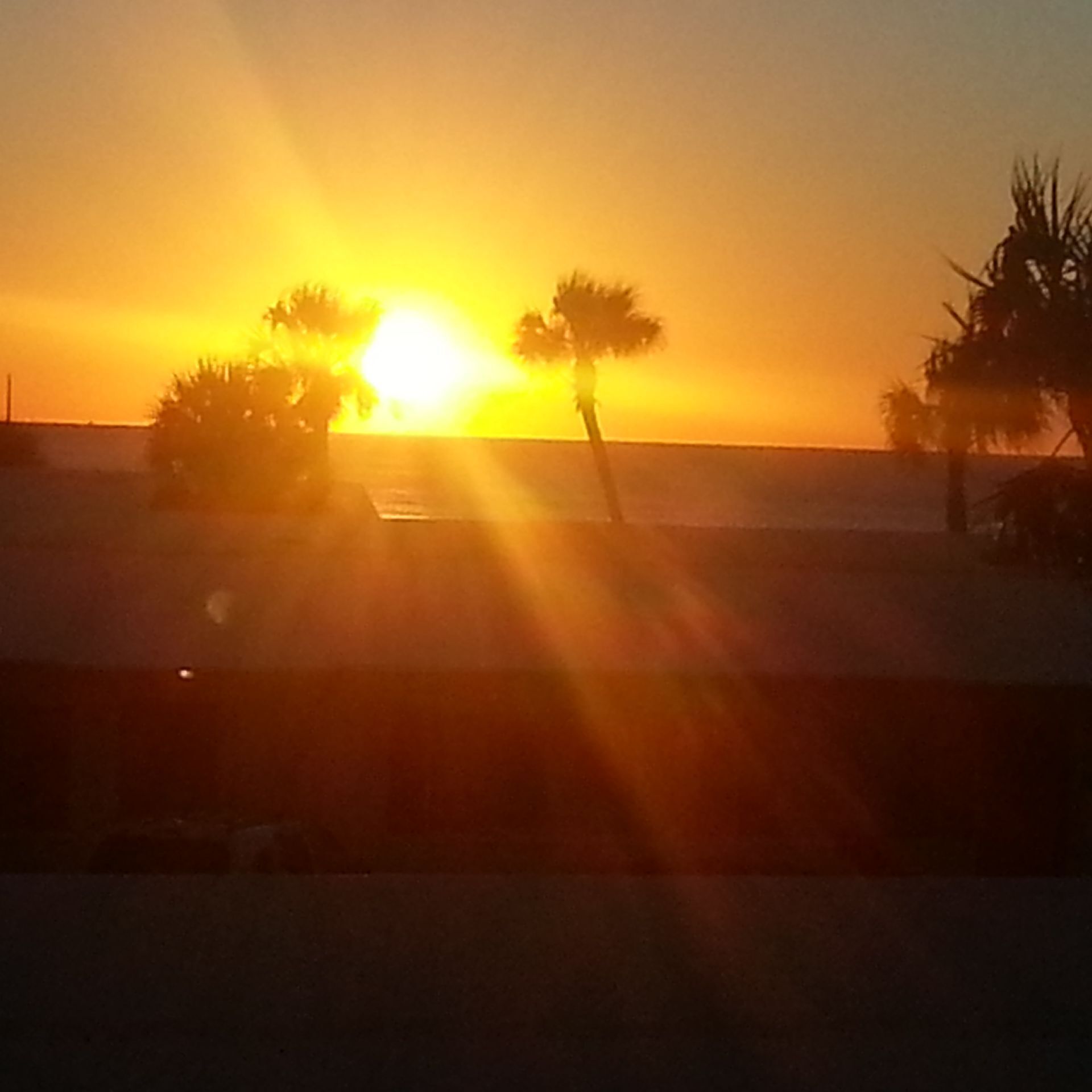Ein Sonnenuntergang über einem Strand, Palmen als Silhouette am Himmel.