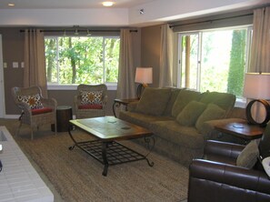 Televisor intel·ligent, llar de foc i llibres 