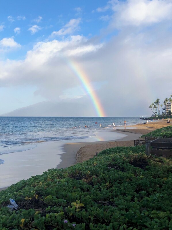 Nær stranden, solsenger og strandhåndklær