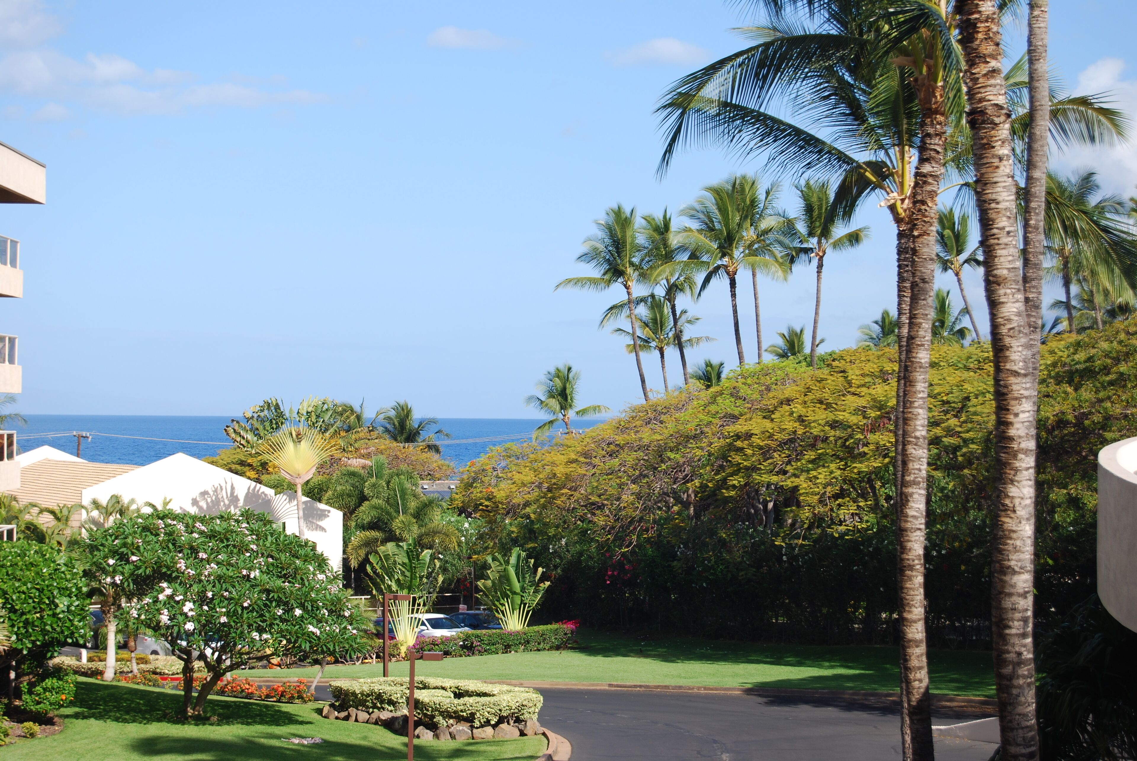 A resort with a view of the ocean, palm trees, and a well-maintained garden.