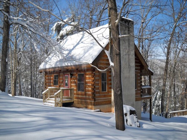 Exterior - Falling Leaf Cabin Rustic Charm With Modern Decor! Newly Renovated Kitchen! (Rileyville)