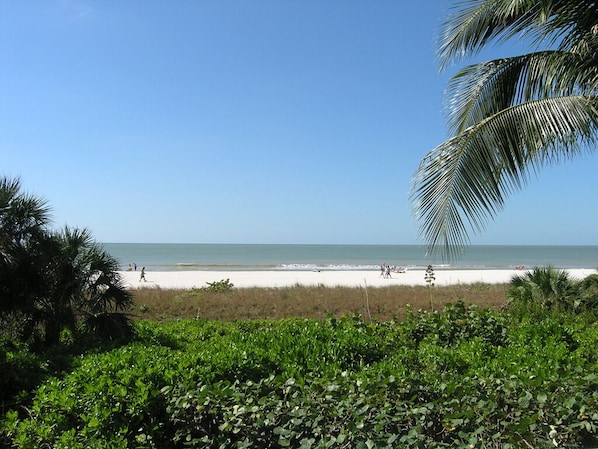 在海滩、沙滩椅、沙滩毛巾