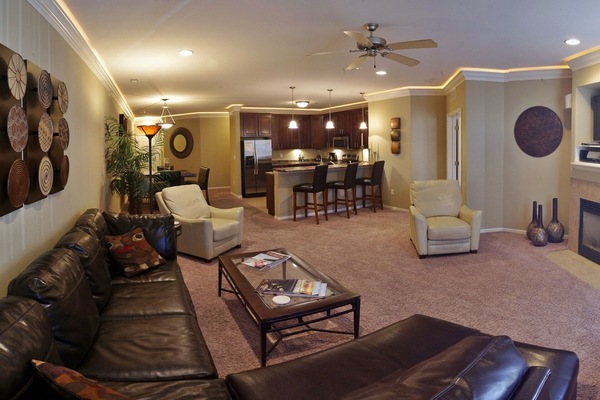 Large Main Living Area