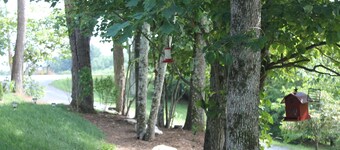 PRIVATE & PEACEFUL IN HIGH COUNTRY MOUNTAINS, 20 MINUTES TO MERLEFEST.