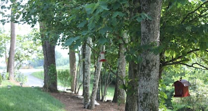 Lähellä ASU, Tweetsie Railroad, Isoisä Mtn ja Blu-Ridge PKY