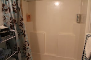 Combined shower/tub, hair dryer, towels, soap