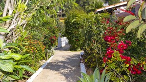 Garden - Albergue FredsFinca Ibiza Salinas (Sant Josep de sa Talaia)