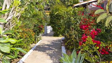 Jardín