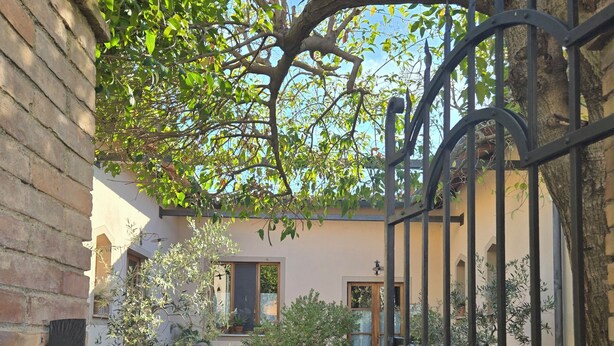 Un patio con paredes de ladrillo, plantas en macetas y una verja de metal.