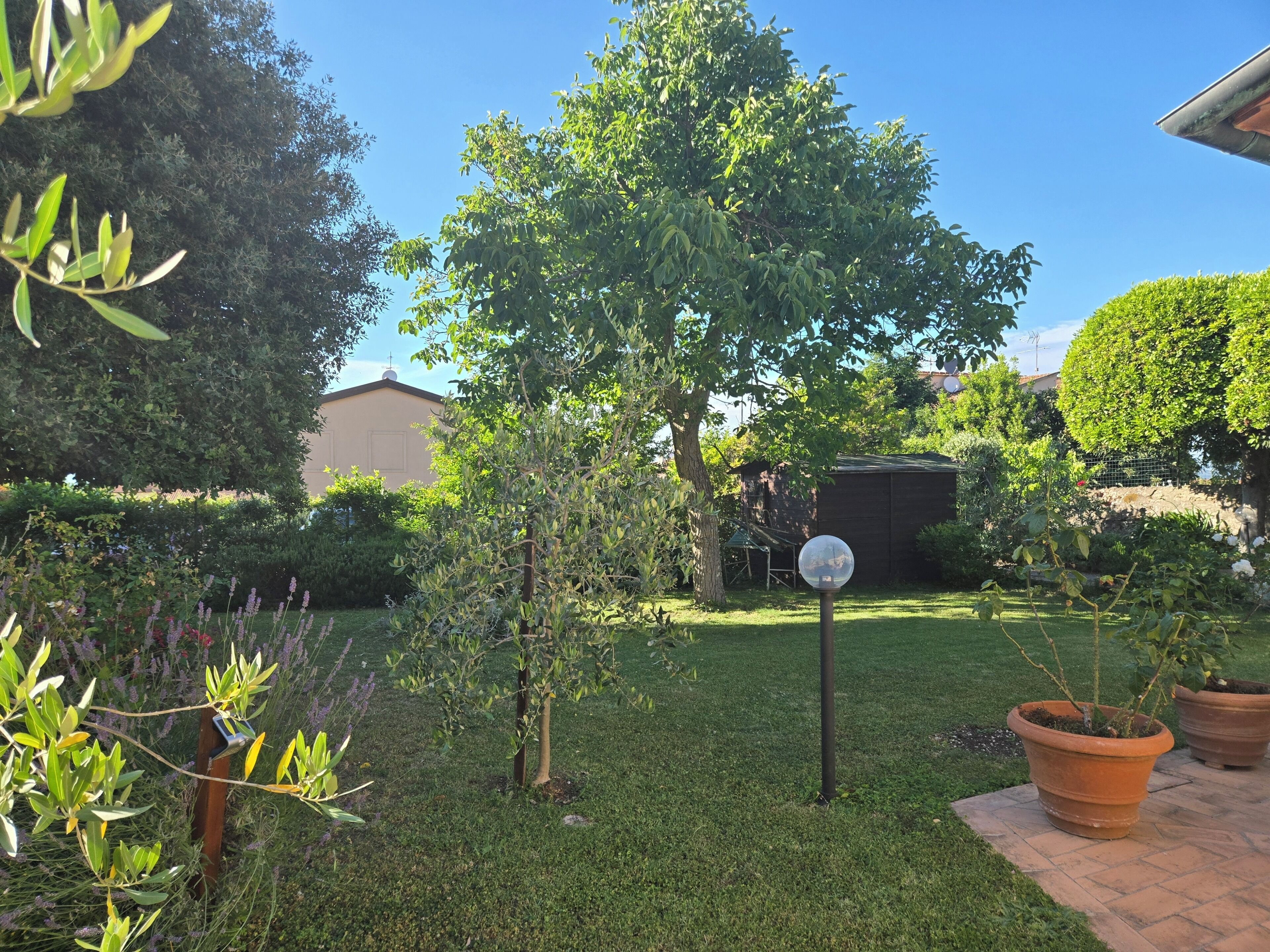A garden with a large tree, a small tree, and a spherical object on a pole.