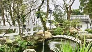 Un jardín tranquilo con un estanque, un puente de madera y abundante vegetación.
