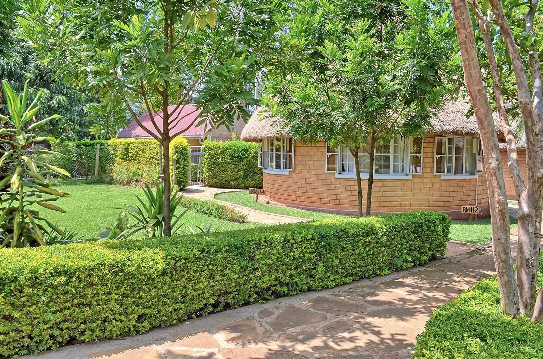 A bungalow with a thatched roof, surrounded by well-maintained hedges and a stone pathway.