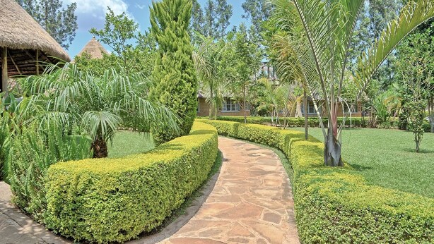 Un jardin bien entretenu, avec un chemin de pierres, des haies soigneusement taillées et des plantes tropicales.
